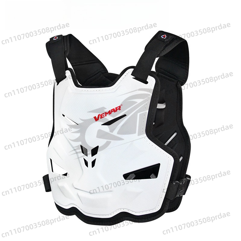 Armadura de protección para mo - Motorcycle Gear For Summer reseña y precio